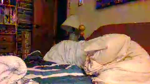 Ian23602 online show from December 19, 12:02 pm