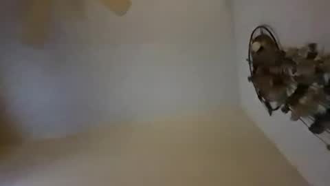 Snapshot of sterng123 chatting on December 10, 9:01 am sterng123 online show from December 10, 9:01 am