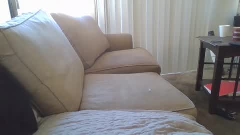 steven903625 online show from December 17, 7:04 pm