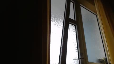 Steven online show from February 16, 9:07 am