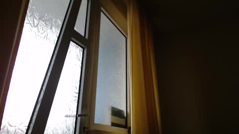 Steven online show from January 24, 11:48 am