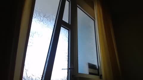 Steven online show from January 28, 1:05 pm