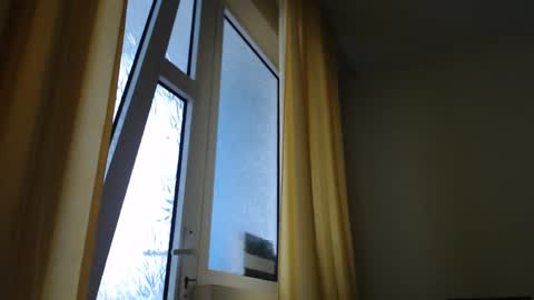 Steven online show from December 30, 1:47 pm