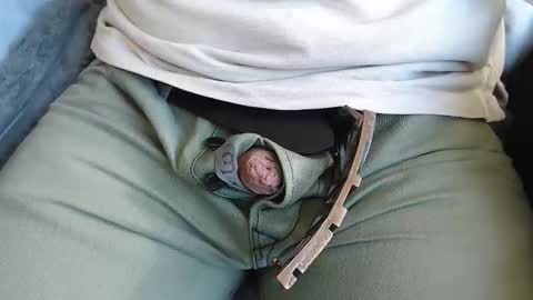 white beef online show from November 5, 11:34 am