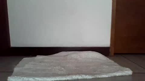 Snapshot of stgo2000caliente chatting on February 18, 3:54 pm stgo2000caliente online show from February 18, 3:54 pm