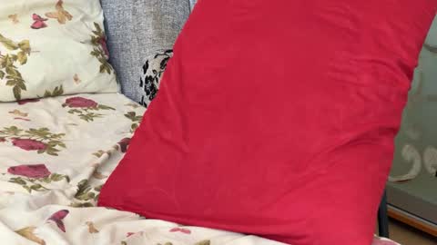 Chris online show from September 23, 10:03 am