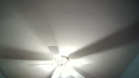 str8whiteboy21 online show from December 19, 4:34 am