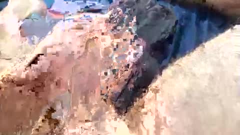 Snapshot of stroker_12 chatting on December 20, 12:08 am stroker_12 online show from December 20, 12:08 am