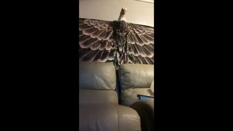 stuckinatrip97 online show from March 21, 6:34 pm