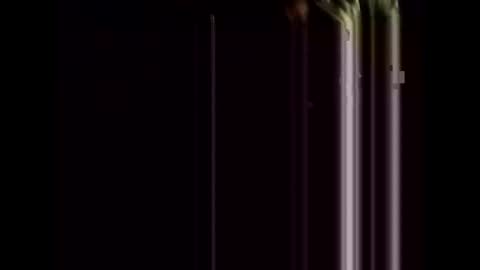 stuntcockdouble online show from February 14, 10:28 am