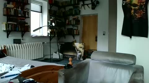 sunr1sa online show from December 7, 7:49 am