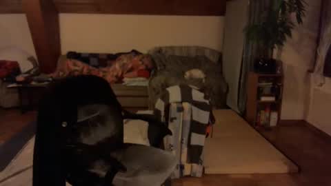 supersquirrel81 online show from January 8, 6:57 pm