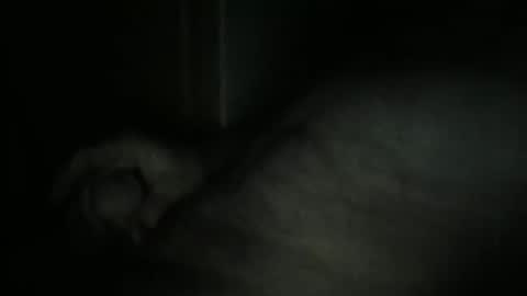 sweetpussylicks online show from February 18, 12:04 am