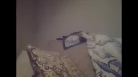 sweetbrowneyes623 online show from January 26, 1:41 am