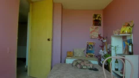 swettcabol online show from March 12, 5:28 pm