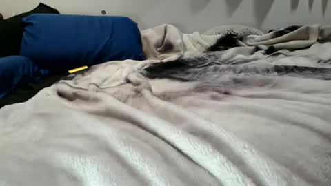 sybadog online show from February 19, 11:50 am