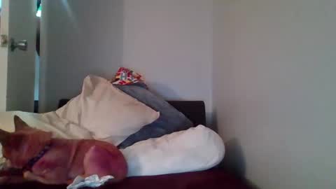 Taejhon online show from December 14, 10:24 am