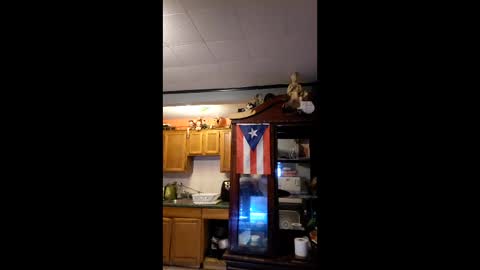 taliban809 online show from January 16, 11:51 pm