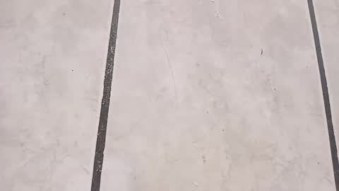 tall6feet7inch online show from October 5, 9:46 am