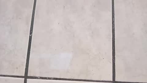 tall6feet7inch online show from September 21, 7:58 pm