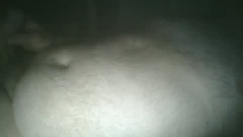 tallicas2000 online show from May 30, 1:16 am