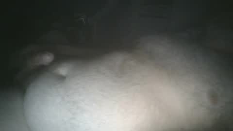 tallicas2000 online show from July 16, 1:45 am