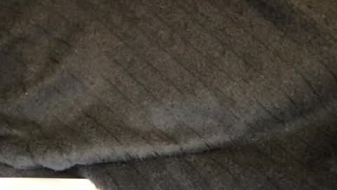 tasteithorny online show from December 21, 8:22 am