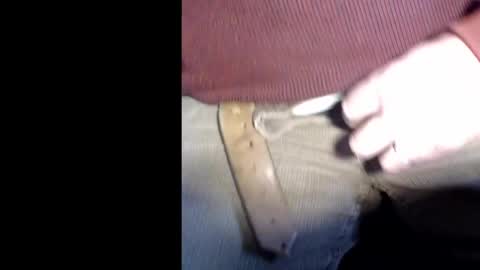 taylor363636 online show from February 21, 1:22 pm