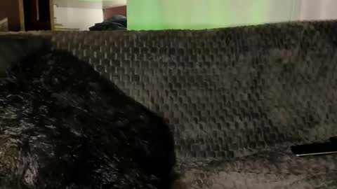 Teo online show from January 8, 4:01 pm