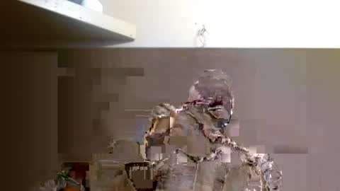 terdy2366 online show from September 10, 4:11 am