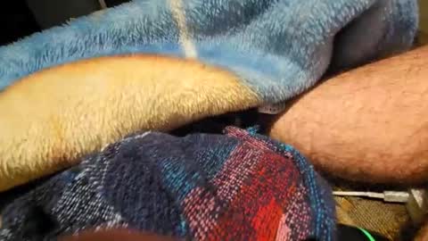 Thatoneguy420 online show from January 12, 5:56 am