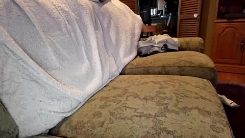 theicecreamguru online show from October 8, 7:51 pm