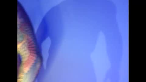 Inked Rabbit online show from February 8, 3:41 am