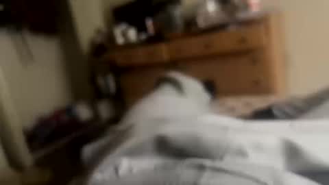 theplummer99 online show from October 11, 1:37 pm