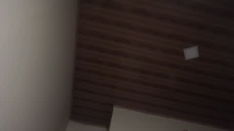 Snapshot of therazhanen chatting on December 6, 6:48 am Santiago Enrique online show from December 6, 6:48 am