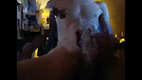 tizh online show from April 16, 6:30 pm