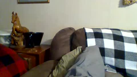 Vols online show from March 10, 12:51 am