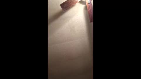 Vols online show from December 16, 2:51 am