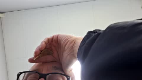 Vols online show from February 12, 11:51 am