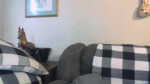 Vols online show from January 11, 6:23 pm