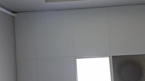 Vols online show from March 7, 11:51 am