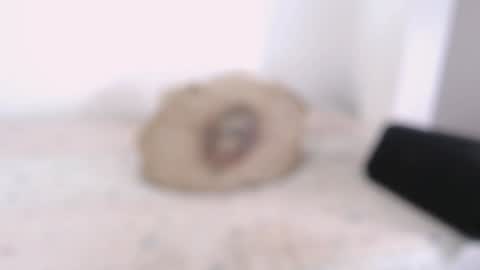 David online show from February 5, 6:26 pm