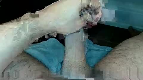 tom4you4all online show from February 4, 1:33 am