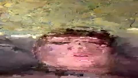 tom_670 online show from July 26, 1:30 pm