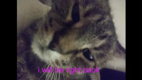 sirmuggsalot online show from July 2, 4:02 pm
