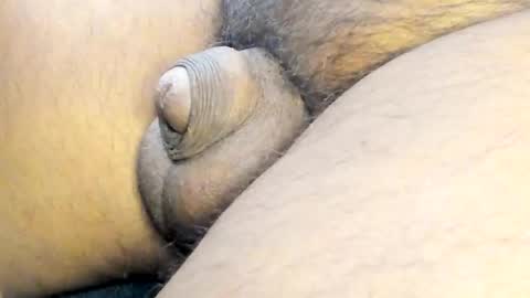 tonyisback2023 online show from March 2, 4:18 am