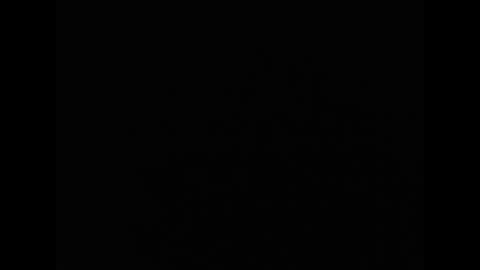 tony online show from April 7, 12:54 am