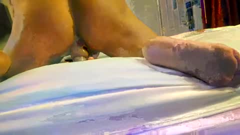 tonymytoto online show from September 17, 9:21 am