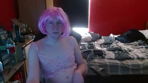 toodddy online show from May 25, 6:19 am