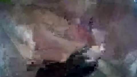 Snapshot of toranaman77 chatting on September 25, 9:24 pm toranaman77 online show from September 25, 9:24 pm